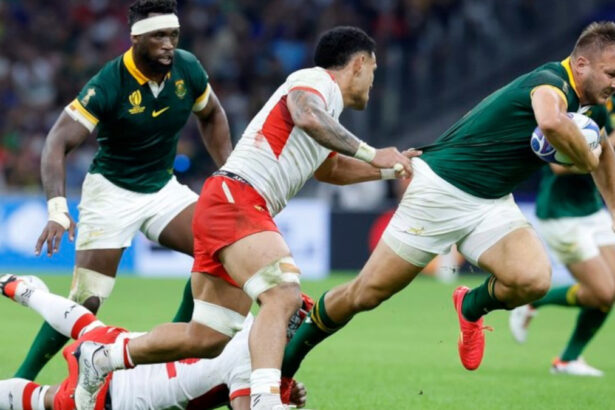 Rugby France 2023, Afrique du Sud vs Tonga