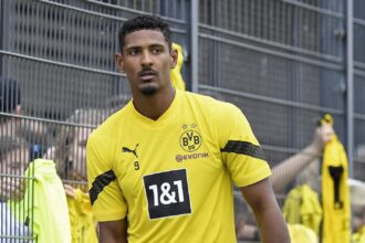 CAN 2023 : Jean-Louis Gasset annonce le retour de Sébastien Haller