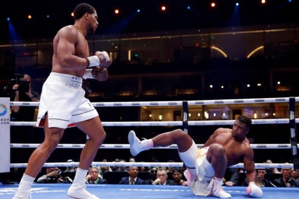Boxe : la grosse désillusion du Camerounais Francis Ngannou