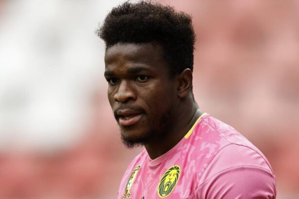 Fabrice Ondoa, Champion d'Afrique 2017