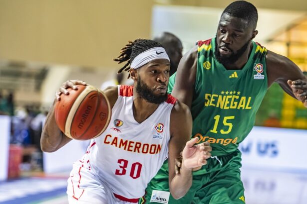 Basketball-TQO : les Lions orphelins de Siakam, poursuivent leur préparation