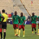 Les Lions Indomptables du Cameroun