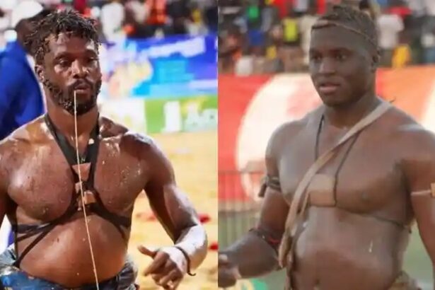 Lutte sénégalaise : Liss Ndiago vs Diène Kairé, un grand duel en gestation