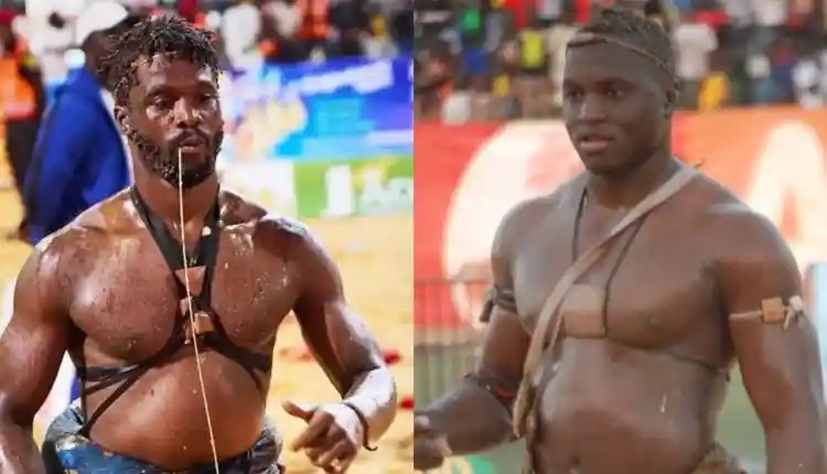 Lutte sénégalaise : Liss Ndiago vs Diène Kairé, un grand duel en gestation