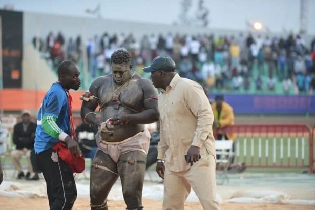Lutte sénégalaise : Gris 2 défie les lutteurs de Guédiawaye