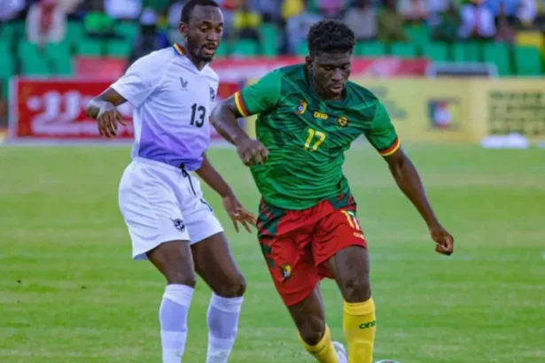 Cameroun - Namibie : victoire poussive des Lions (1-0). Les notes des joueurs