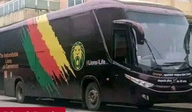 Crise Minsep - Fécafoot : les Lions indomptables attendus dans deux hôtels différents