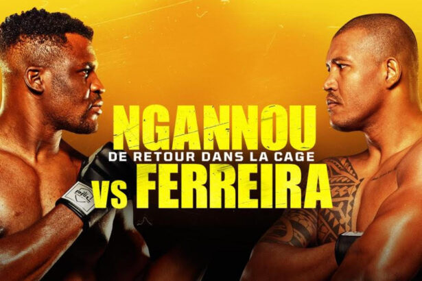 MMA : où regarder le combat Francis Nagnnou vs Renan Ferreira, samedi 19 octobre ?