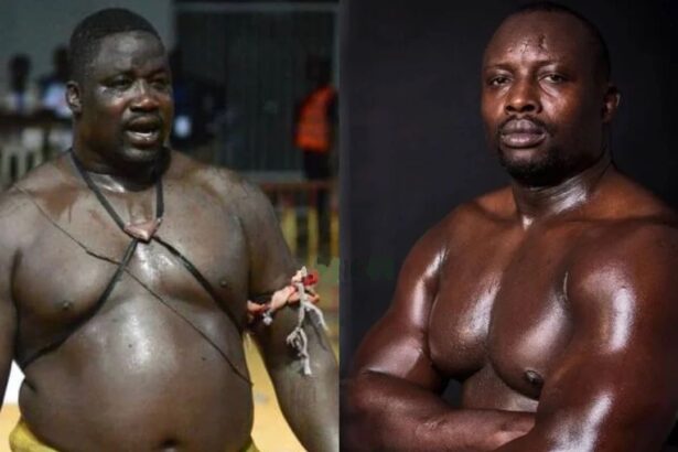 Lutte sénégalaise : Gris Bordeaux vs Zarco, le premier combat de l’année 2025