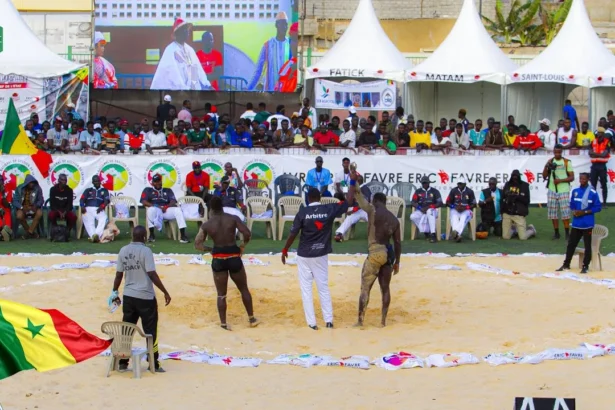 Lutte sénégalaise : Ziguinchor hôte du tournoi du « Drapeau du chef de l’Etat »
