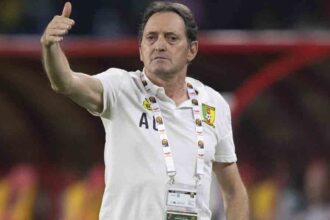 Cameroun : sous la menace de la Fifa, l’Etat indemnise l’ex-sélectionneur des Lions Toni Conceiçao