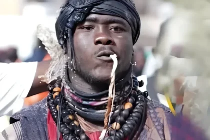 Lutte Sénégalaise : pourquoi Niang Ballo se retrouve face à la justice  