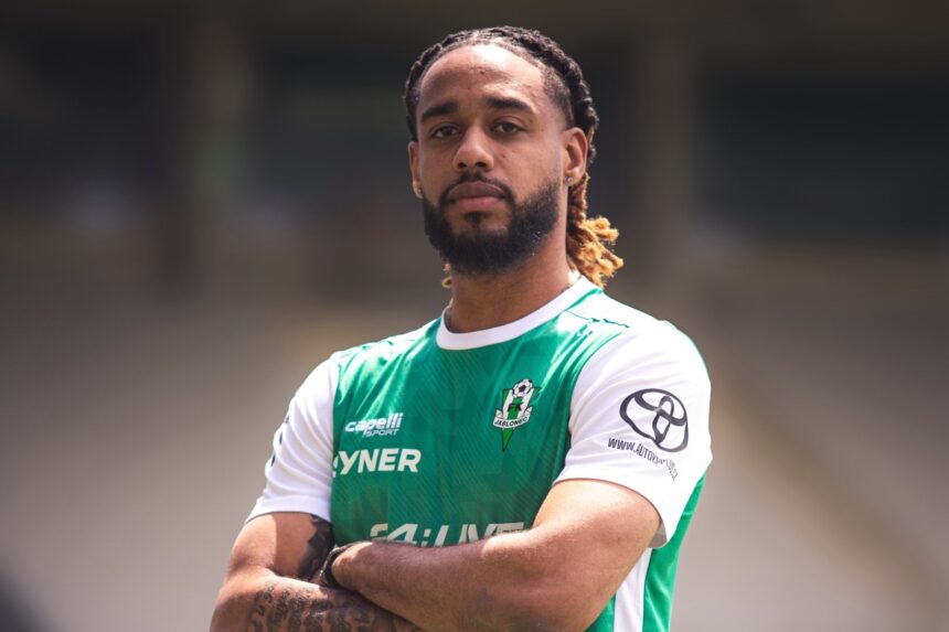 Nassim Innocenti : le rebond tchèque d’un Étalon en reconstruction