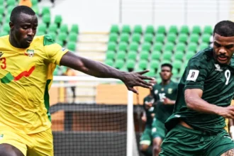 Zimbabwe : Michael Nees dévoile une sélection mêlant expérience et jeunesse pour rebâtir les Warriors