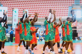 Volleyball : deux victoires en deux matchs, les Lions passent à la vitesse supérieure