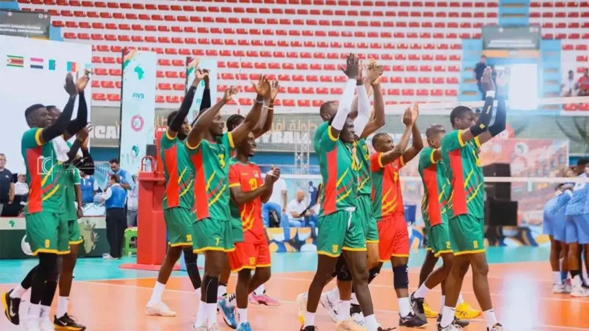 Volleyball : deux victoires en deux matchs, les Lions passent à la vitesse supérieure