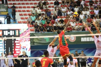 Volley-ball : 5 victoires sur 6, une finale et une médaille d’argent… les chiffres qui racontent le parcours des Lions