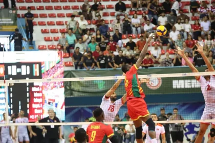 Volley-ball : 5 victoires sur 6, une finale et une médaille d’argent… les chiffres qui racontent le parcours des Lions
